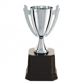 Taça Prateada 22 cm