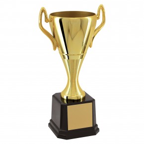 Taça Dourada Campeão 40cm