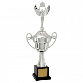 Taça Vencedor Prateado 37cm