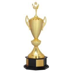 Troféu 93cm