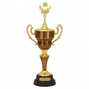 Troféu Bronze 73cm