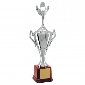 Troféu Vencedor Prateado 61cm