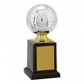 Bola de Prata 18 cm