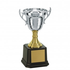 Taça Prateada 18cm