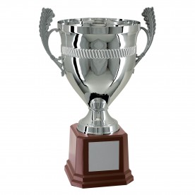 Taça Metal Prata 47cm