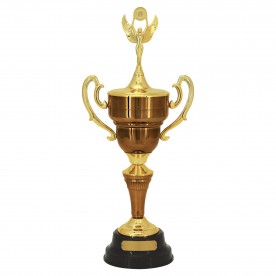 Troféu Bronze 73cm