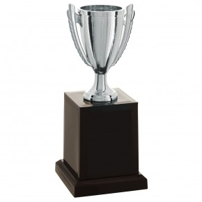 Taça Prateada 18 cm