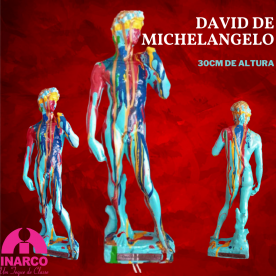 David de Michelangelo