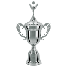 Taça Prata 80cm