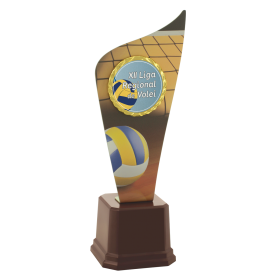 Troféu Volei 40cm