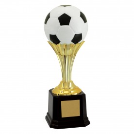 Troféu Bola de Futebol 29cm