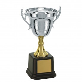 Taça Prateada 22cm