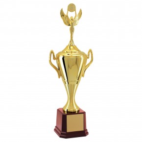 Troféu Vencedor Dourado 61cm