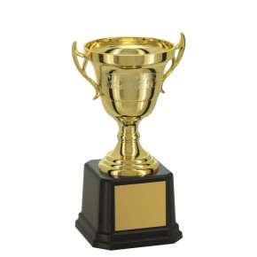 Taça Dourada 15cm